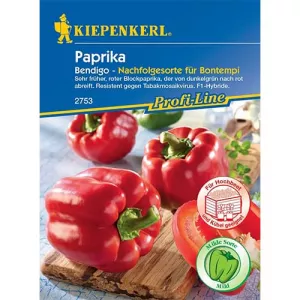 Papryka kalifornijska Bendigo F1