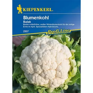 Kalafior Balak F1