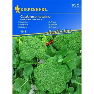 Brokuł Calabrese Natalino