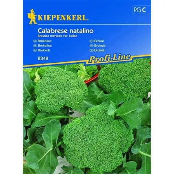 Brokuł Calabrese Natalino