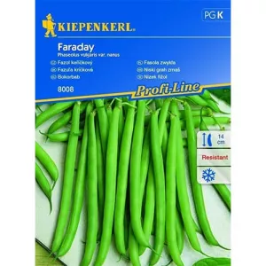 Fasola Faraday