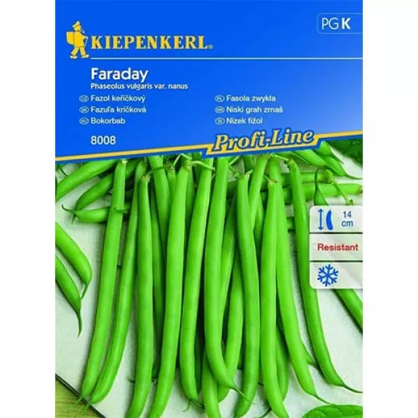 Fasola Faraday