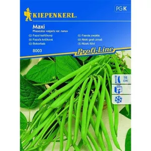 Fasola Maxi
