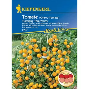 Pomidor Tumbling Tom Yellow