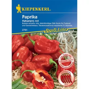 Papryczka Habanero czerwona