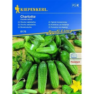 Ogórek Charlotte F1