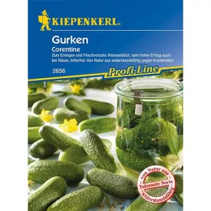 Ogórek Corentine F1