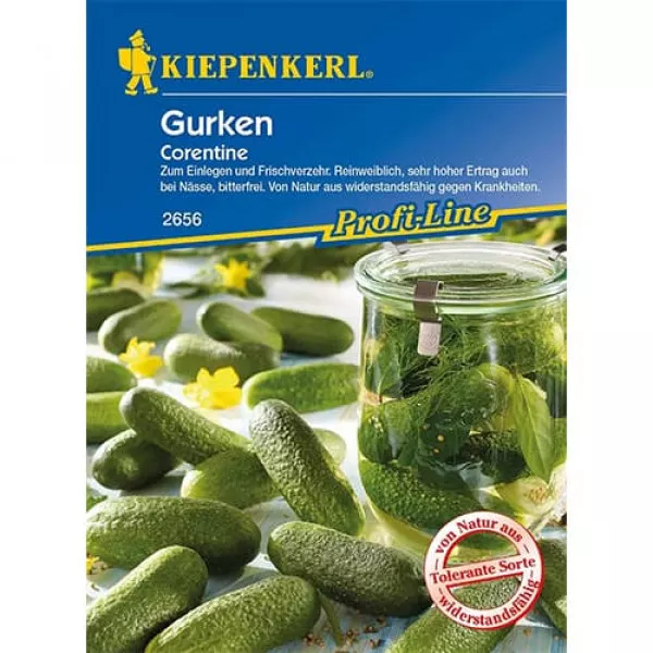 Ogórek Corentine F1