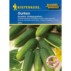 Ogórek Excelsior F1