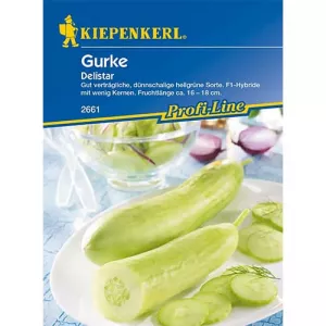 Ogórek Delistar F1
