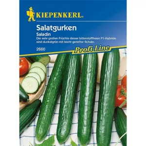 Ogórek Saladin