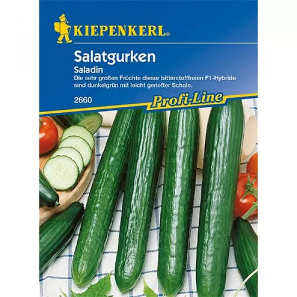 Ogórek Saladin