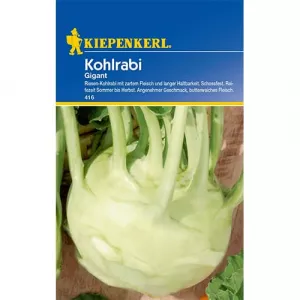 Kalarepa olbrzymia