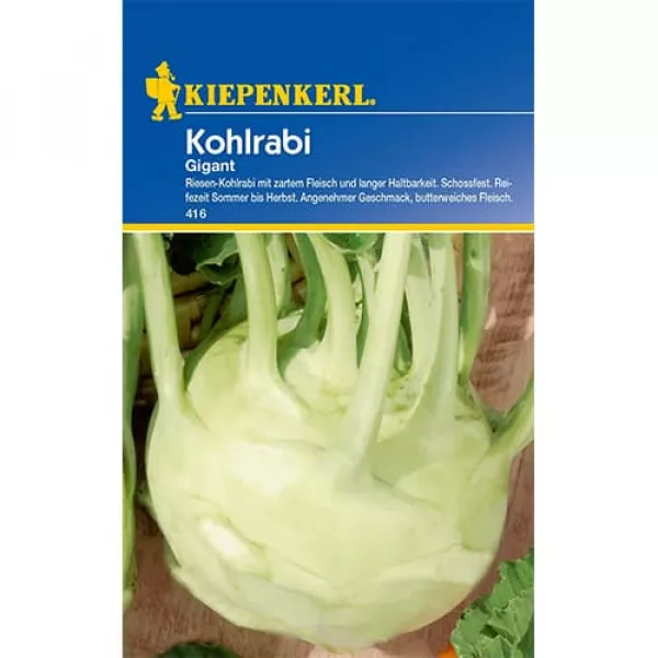 Kalarepa olbrzymia