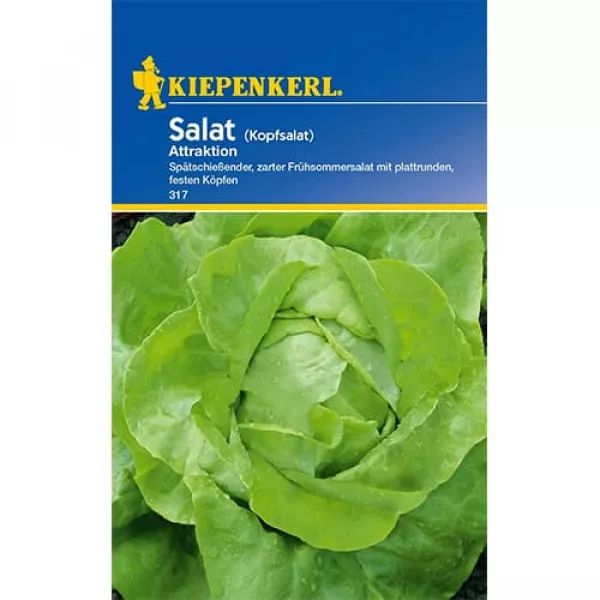Sałata Attraktion