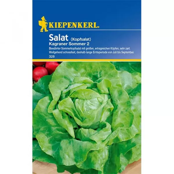 Sałata zielona Kagraner Lato 2