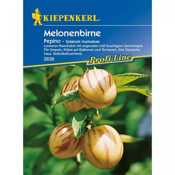 Pepino (Ogórek)
