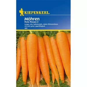 Marchew Rote Riesen 2