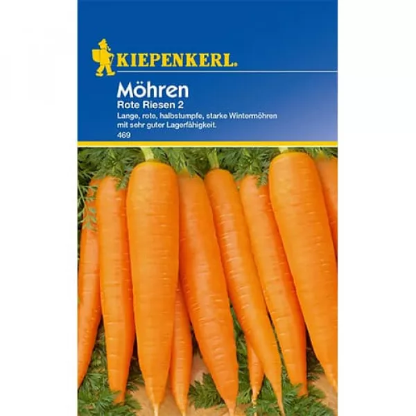 Marchew Rote Riesen 2 Marchew Rote Riesen 2
