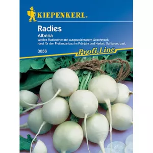 Rzodkiewka Albena