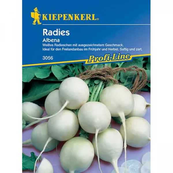 Rzodkiewka Albena
