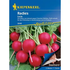 Rzodkiewka Lucia F1