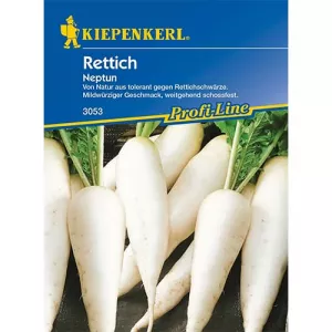 Rzodkiewka Neptun F1