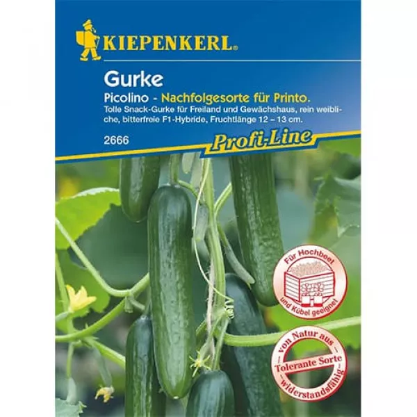 Ogórek Picolino F1