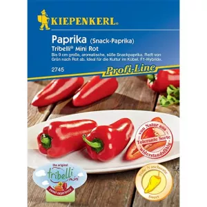 Papryka słodka Tribelli Mini Red F1