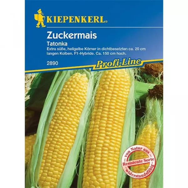 Kukurydza słodka Tatonka