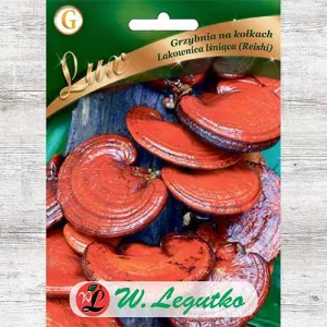 Reishi