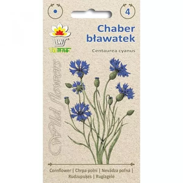 Chaber bławatek (kwiaty jadalne)