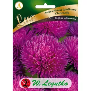Dynia Rouge vif d´Etampes