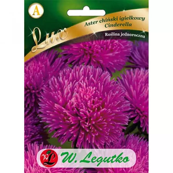Dynia Rouge vif d´Etampes