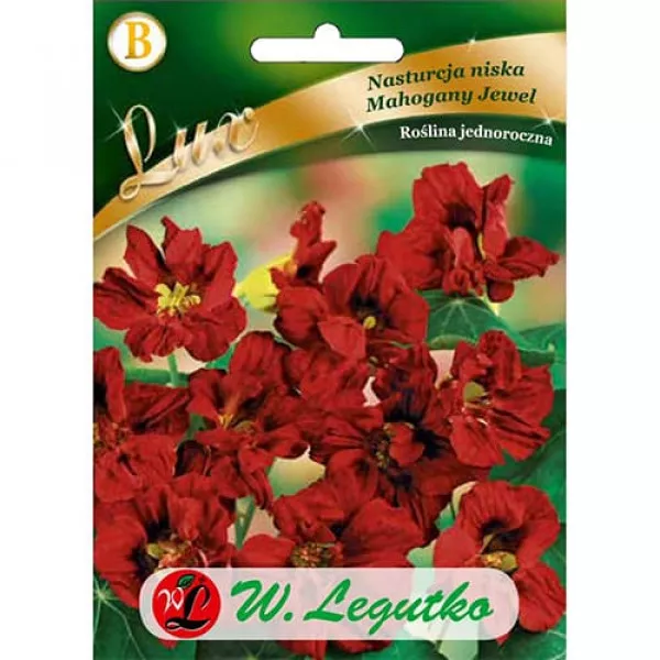 Nasturcja niska Mahogany Jewel