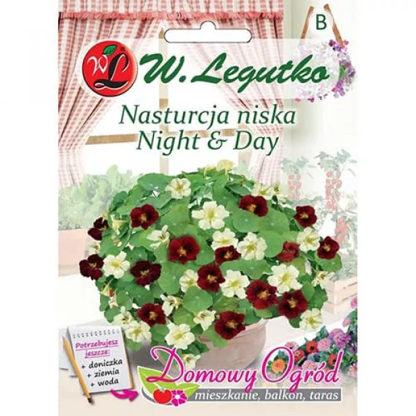 Nasturcja niska Night and Day