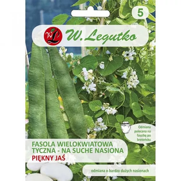 Fasola Piękna Jaś Fasola Piękna Jaś