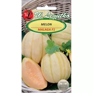 Melon Malaga F1