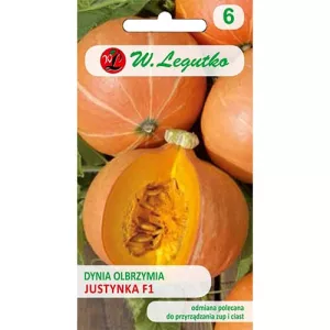 Dynia olbrzymia Justynka F1