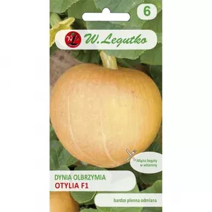 Dynia olbrzymia Otylia F1