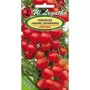 Pomidor Pokusa