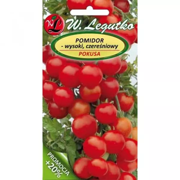 Pomidor Pokusa