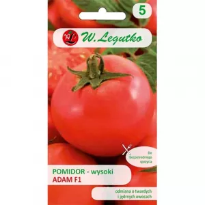 Pomidor Adam F1