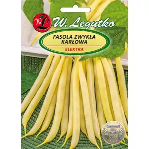 Fasola Elektra