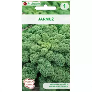 Jarmuż Halbhoher Grüner Krauser (zielony kędzierzawy)