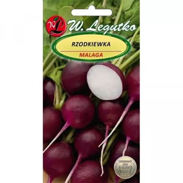 Rzodkiewka Malaga Rzodkiewka Malaga