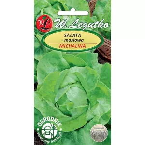 Sałata zielona Michalina