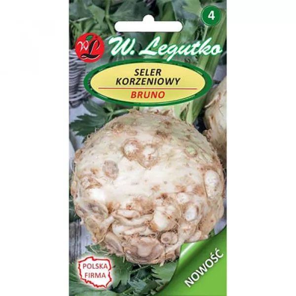 Seler korzeniowy Bruno