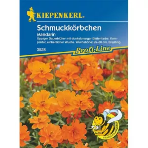 Kosmos Mandarin