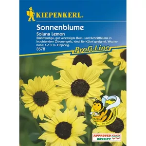 Słonecznik Soluna Lemon